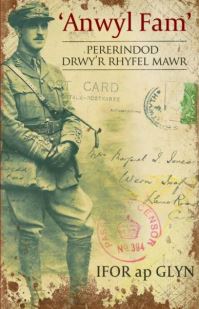 Book Cover for 'Anwyl Fam' by Ifor ap Glyn