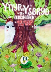 Book Cover for Ynyr Yr Ysbryd A'r Coblyn Bach by Rhian Cadwaladr