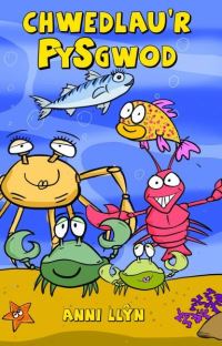 Book Cover for Py-Sgwod by Anni LlÒyn