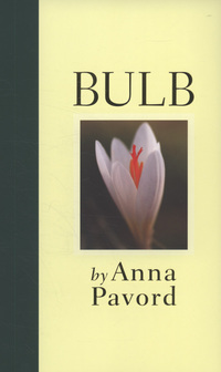 Book Cover for Bulb by Anna Pavord