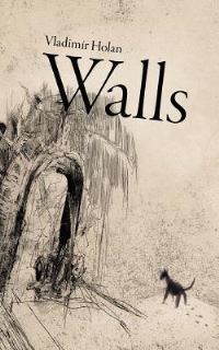 Book Cover for Walls by Vladimír Holan