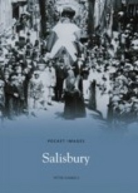 Book Cover for Salisbury by Peter Daniels
