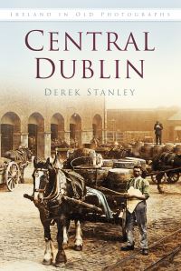 Book Cover for Central Dublin by Derek Stanley