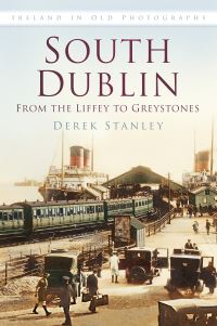 Book Cover for South Dublin by Derek Stanley