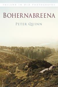 Book Cover for Bohernabreena by Peter Quinn