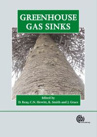 Book Cover for Greenhouse Gas Sinks by Dave Reay