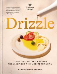 Book Cover for Drizzle by Sarah Fulton Vachon