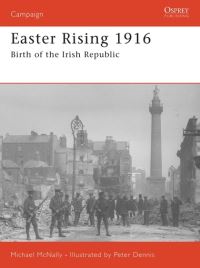 Book Cover for Easter Rising 1916 by Michael McNally, Peter Dennis