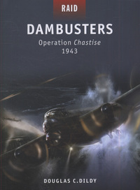 Book Cover for Dambusters by Doug Dildy