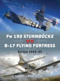 Book Cover for Fw 190 Sturmböcke Vs B-17 Flying Fortress by Robert Forsyth
