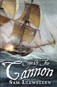 Book Cover for Eye of the Cannon by Sam Llewellyn