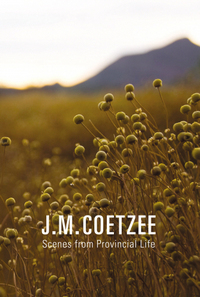 Book Cover for Scenes from Provincial Life by J M Coetzee