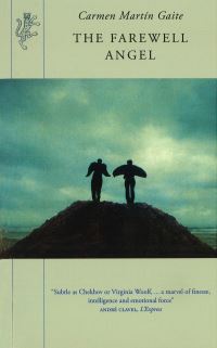 Book Cover for The Farewell Angel by Carmen Martin Gaite