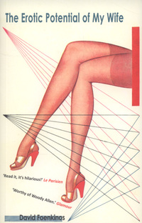 Book Cover for The Erotic Potential of My Wife by David Foenkinos