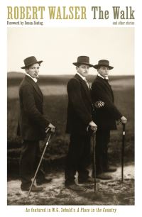 Book Cover for The Walk by Robert Walser