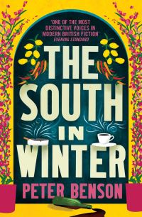 Book Cover for The South in Winter by Peter Benson
