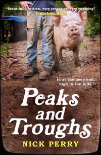 Book Cover for Peaks and Troughs by Nick Perry