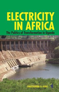 Book Cover for Electricity in Africa by Christopher D Gore