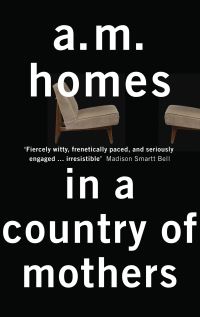 Book Cover for In a Country of Mothers by A M Homes