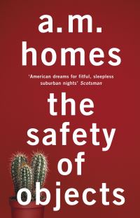 Book Cover for The Safety of Objects by A M Homes