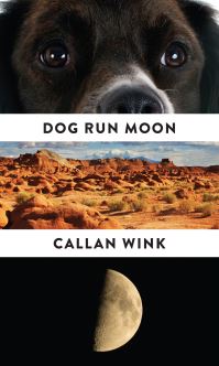 Book Cover for Dog Run Moon by Callan Wink