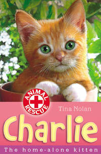 Book Cover for Charlie by Tina Nolan, Sharon Rentta