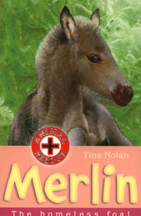 Book Cover for Merlin by Tina Nolan, Sharon Rentta