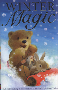Book Cover for Winter Magic by Alison Edgson