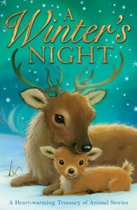 Book Cover for A Winter's Night by Alison Edgson