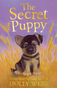 Book Cover for The Secret Puppy by Holly Webb, Sophy Williams