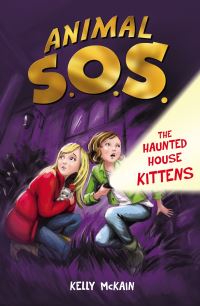 Book Cover for The Haunted House Kittens by Kelly McKain, Katy Jackson