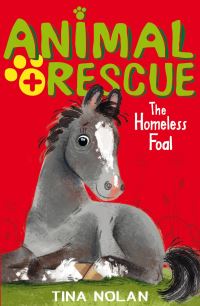 Book Cover for The Homeless Foal by Tina Nolan