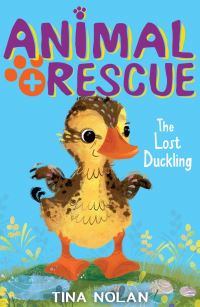 Book Cover for The Lost Duckling by Tina Nolan
