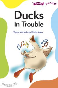 Book Cover for Ducks in Trouble by Patrice Aggs