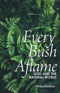 Book Cover for Every Bush Aflame by John Feehan