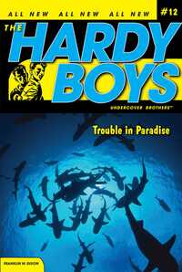 Book Cover for Trouble in Paradise by Franklin W Dixon