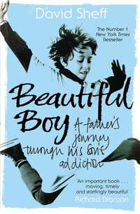 Book Cover for Beautiful Boy by David Sheff