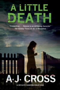 Book Cover for A Little Death by A J Cross
