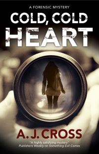 Book Cover for Cold, Cold Heart by A J Cross