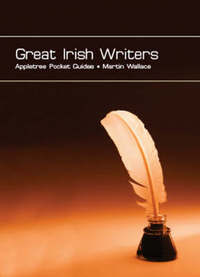 Book Cover for Great Irish Writers by Martin Wallace