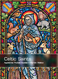 Book Cover for Celtic Saints by Martin Wallace