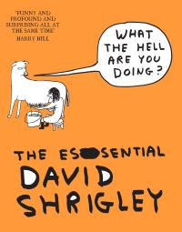 Book Cover for What the Hell Are You Doing? by David Shrigley