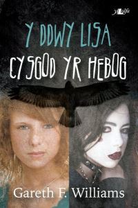 Book Cover for Y Ddwy Lisa. Cysgod Yr Hebog by Gareth F Williams