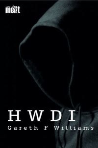 Book Cover for Hwdi by Gareth F Williams