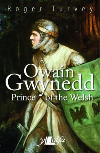 Book Cover for Owain Gwynedd by Roger Turvey