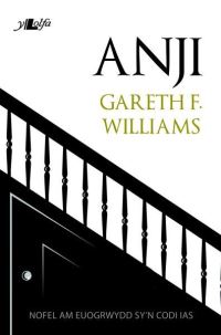 Book Cover for Anji by Gareth F Williams