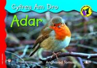 Book Cover for Adar by Angharad Tomos