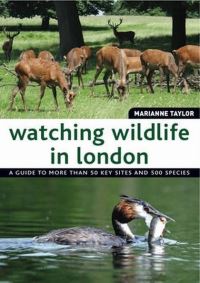 Book Cover for Watching Wildlife in London by Marianne Taylor