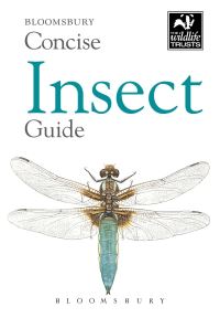 Book Cover for Concise Insect Guide by Wildlife Trusts Great Britain