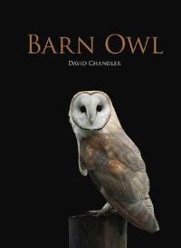 Book Cover for Barn Owl by David Chandler